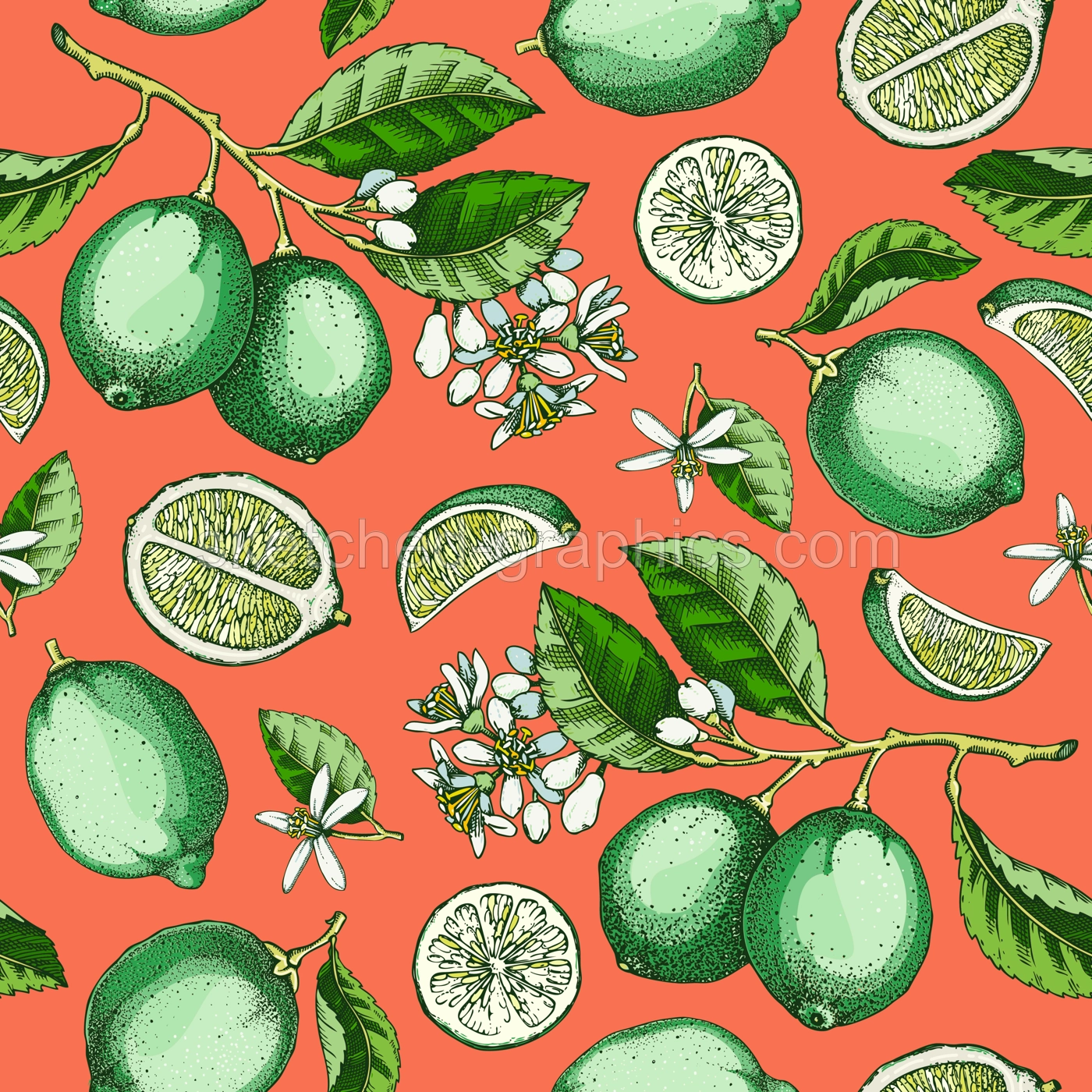 Lime fruit seamless pattern. Citrus fruit sketches. Mixed media botanical background. Exotic plants texture. Hand drawn vector illustration. NOT AI generated Illustration